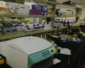 病毒檢測室